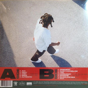 Denzel Curry - Zuu 2019 - Quarantunes