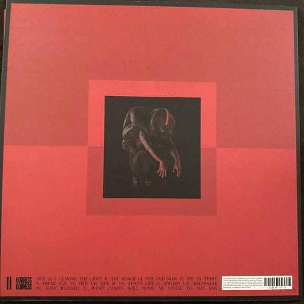 Genesis Owusu - Struggler - 2023 - Quarantunes