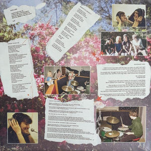 The Lazy Eyes - Songbook 2022 - Quarantunes