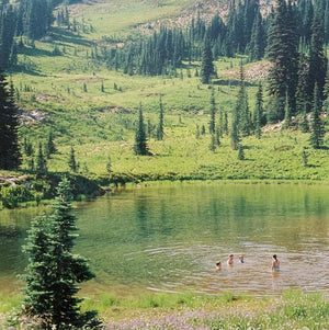 Skirts - Great Big Wild Oak - 2021 - Quarantunes