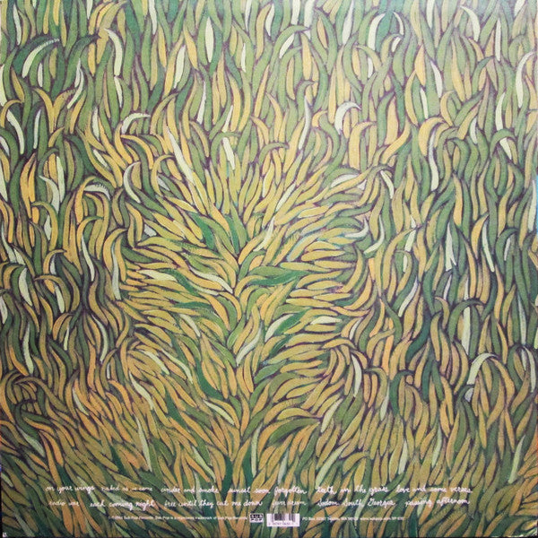 Iron And Wine - Our Endless Numbered Days