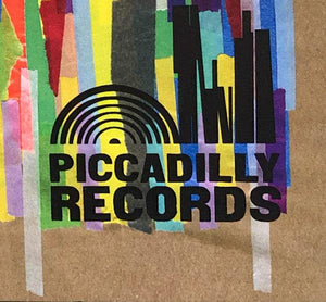 Sufjan Stevens - Javelin - 2023 - Quarantunes