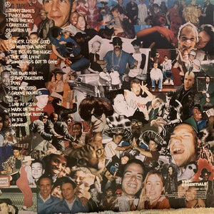 Beastie Boys - Check Your Head - Quarantunes