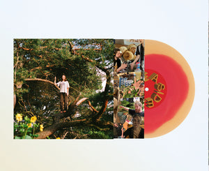 PACKS - Melt The Honey