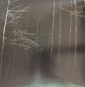 Destroy Lonely - If Looks Could Kill - 2023 - Quarantunes