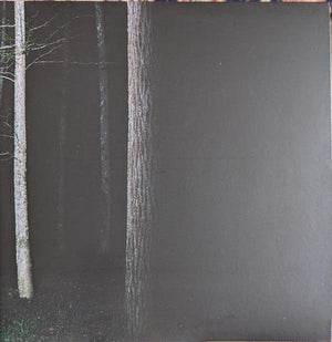 Destroy Lonely - If Looks Could Kill - 2023 - Quarantunes