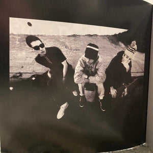 Beastie Boys - Check Your Head - Quarantunes