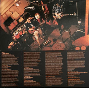 Beastie Boys - Check Your Head 2022 - Quarantunes