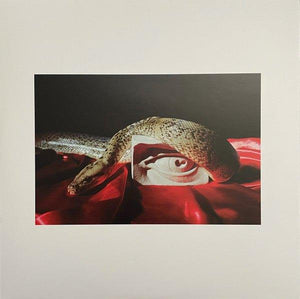 Perfume Genius - Set My Heart On Fire Immediately - Quarantunes