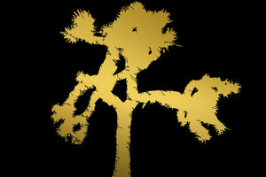 U2