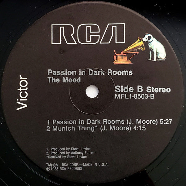 The Mood - Passion In Dark Rooms