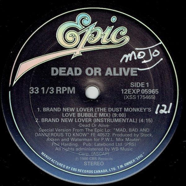 Dead Or Alive - Brand New Lover 1986 - Quarantunes