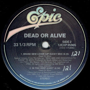 Dead Or Alive - Brand New Lover 1986 - Quarantunes
