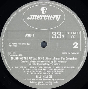 Bill Nelson - Quit Dreaming And Get On The Beam / Sounding The Ritual Echo (Atmospheres For Dreaming) - 1981