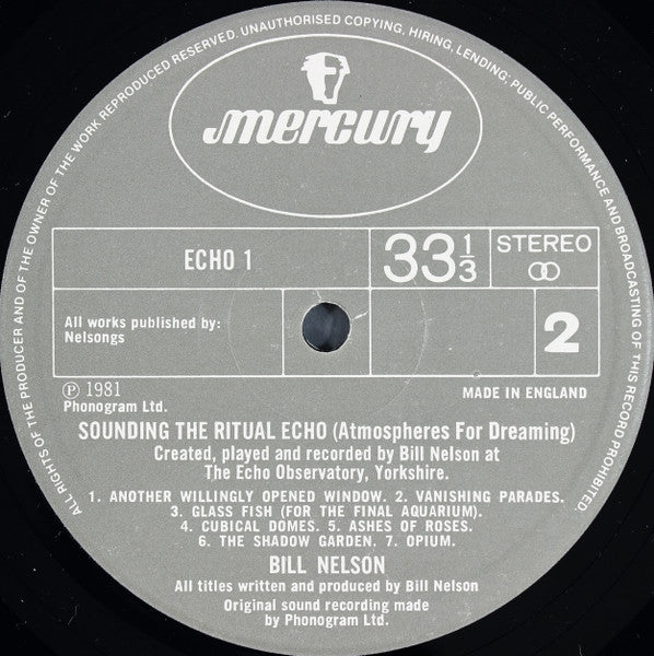 Bill Nelson - Quit Dreaming And Get On The Beam / Sounding The Ritual Echo (Atmospheres For Dreaming) - 1981