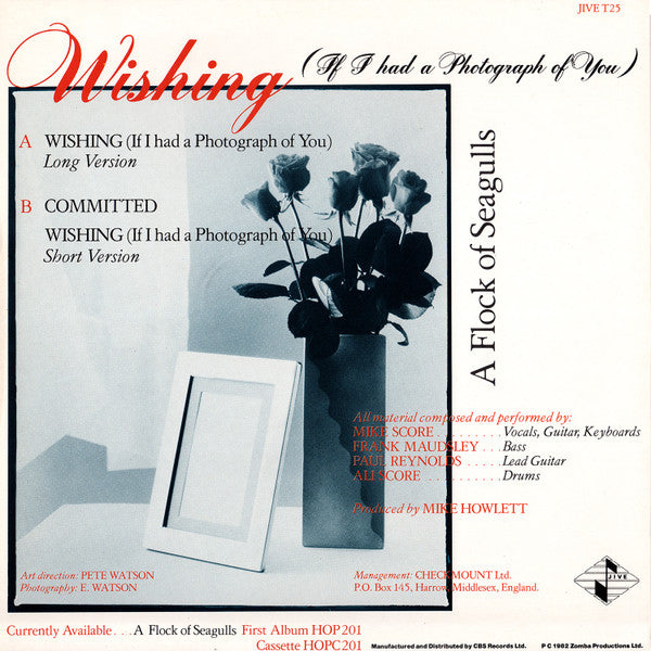 A Flock Of Seagulls - Wishing (If I Had A Photograph Of You) - 1982