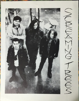 Screaming Trees - Invisible Lantern - 1988