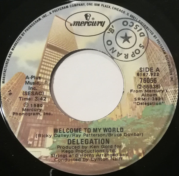 Delegation - Welcome To My World / Heartache No.9 - 1980