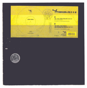 I-Roy / King Tubby & Soul Syndicate, The - Select Cuts From Blood & Fire - 2000