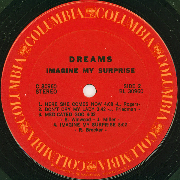 Dreams (4) - Imagine My Surprise