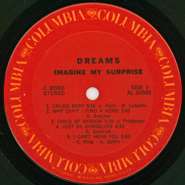 Dreams (4) - Imagine My Surprise