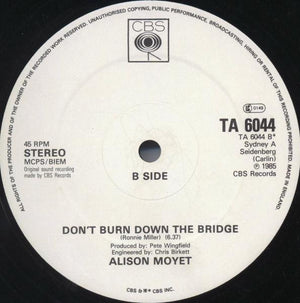 Alison Moyet - That Ole Devil Called Love - 1985
