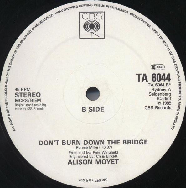 Alison Moyet - That Ole Devil Called Love - 1985