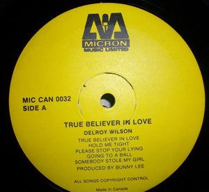 Delroy Wilson - True Believer In Love - 1979