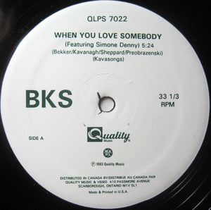 BKS - Living In Ecstasy