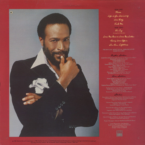 Marvin Gaye - In Our Lifetime