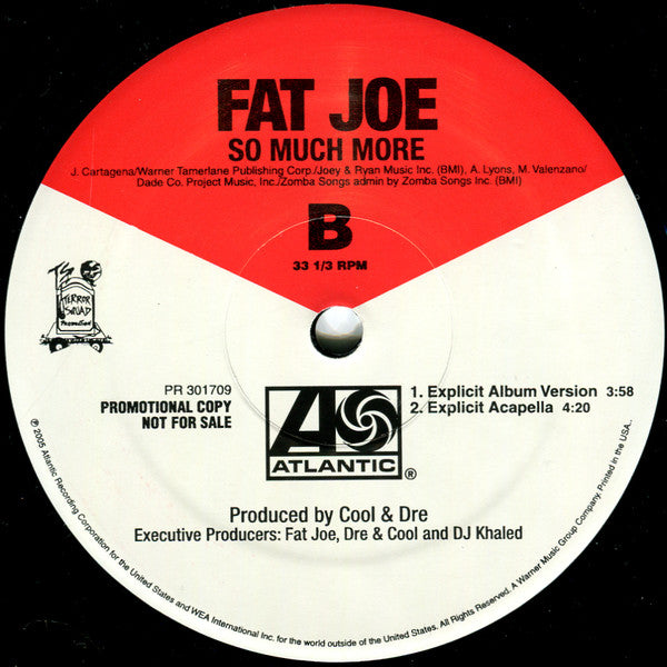 Fat Joe - So Much More