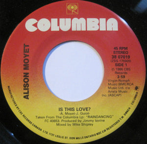 Alison Moyet - Is This Love?