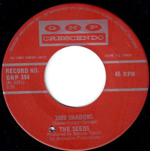 The Seeds - 1000 Shadows 1967 - Quarantunes