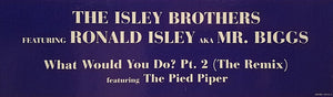 The Isley Brothers - What Would You Do? Pt. 2 (The Remix)