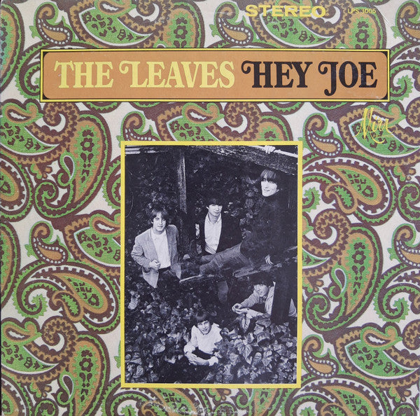 The Leaves - Hey Joe