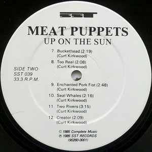 Meat Puppets - Up On The Sun - 1985