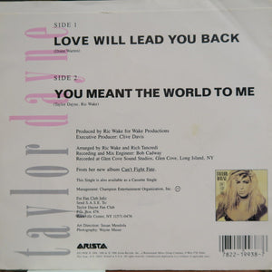 Taylor Dayne - Love Will Lead You Back Vinyl Record