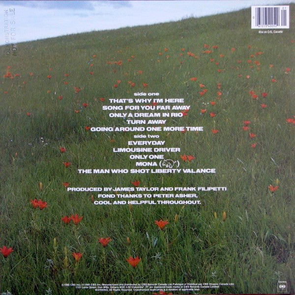 James Taylor - That's Why I'm Here - 1985