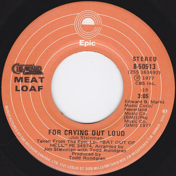 Meat Loaf - Two Out Of Three Ain't Bad - 1977