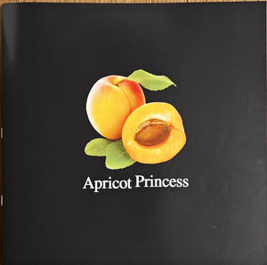 Rex Orange County - Apricot Princess Vinyl Record