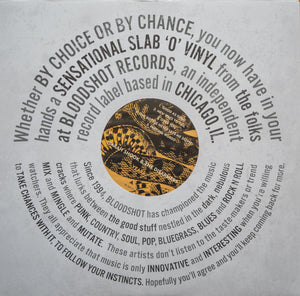 Sarah Shook & The Disarmers - Years Vinyl Record