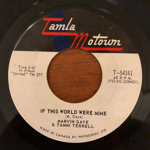 Marvin Gaye & Tammi Terrell - If I Could Build My Whole World Around You - 1967