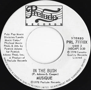 Musique - In The Bush