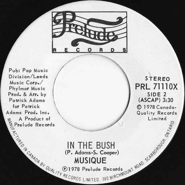 Musique - In The Bush