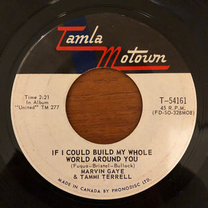 Marvin Gaye & Tammi Terrell - If I Could Build My Whole World Around You - 1967
