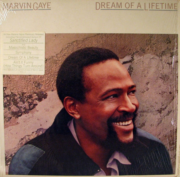 Marvin Gaye - Dream Of A Lifetime Vinyl Record