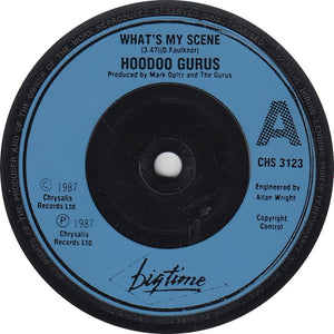 Hoodoo Gurus - What's My Scene