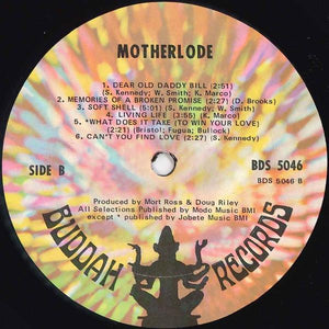 Motherlode - When I Die Vinyl Record