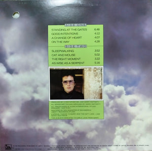 Gerry Rafferty - Sleepwalking - 1982