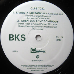 BKS - Living In Ecstasy